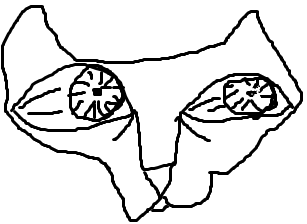 messedup looking cat